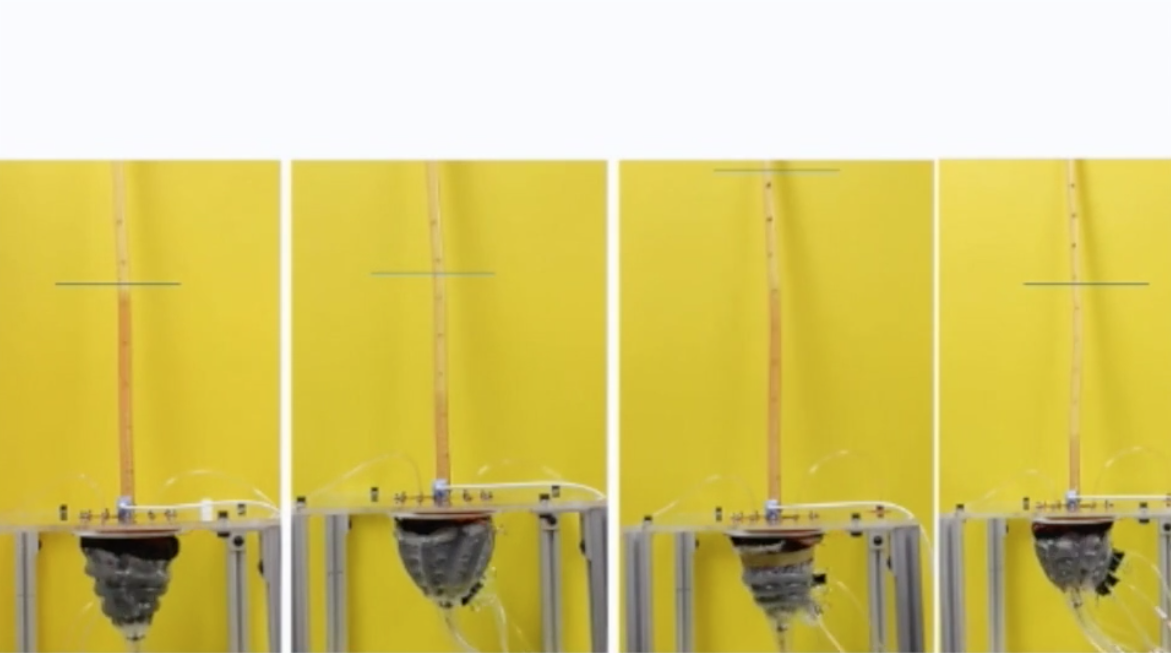 Soft Robotic Heart Sleeve: In Vitro